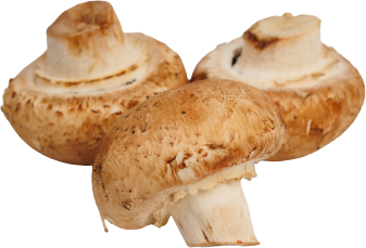 Ciuperci Champignon brune..cleaned