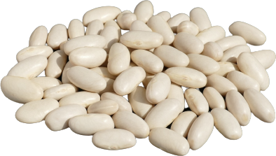 Fasole albă