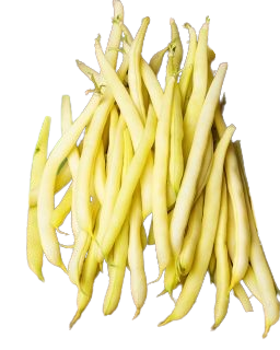 fasole pastai galbene
